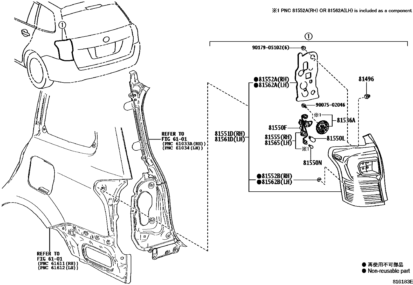8111 — REAR COMBINATION LAMP