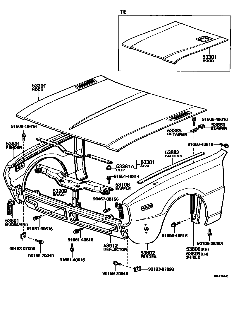 5302 — HOOD & FRONT FENDER