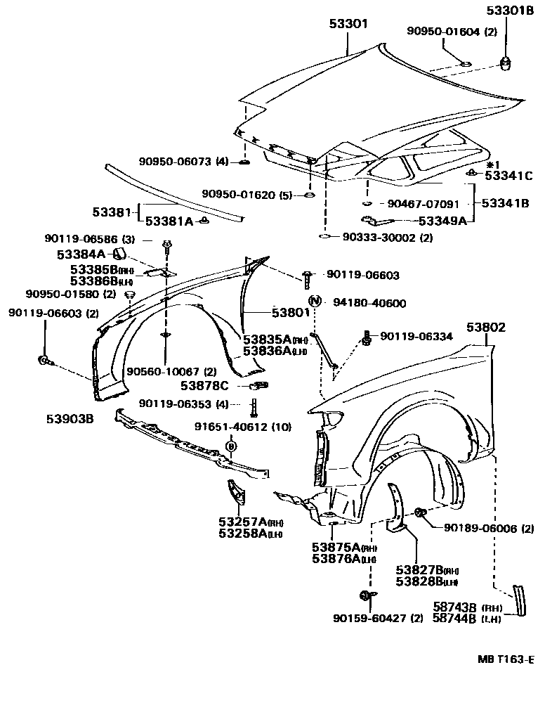 5302 — HOOD & FRONT FENDER