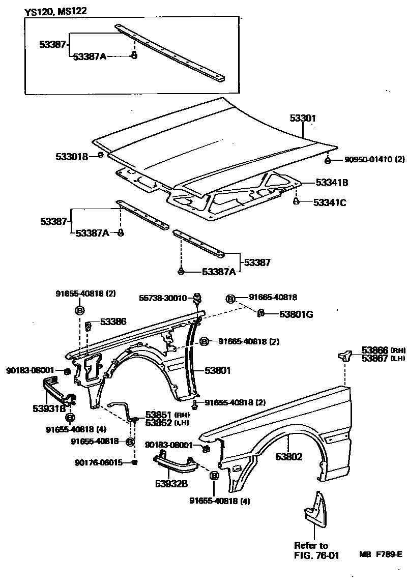 5302 — HOOD & FRONT FENDER