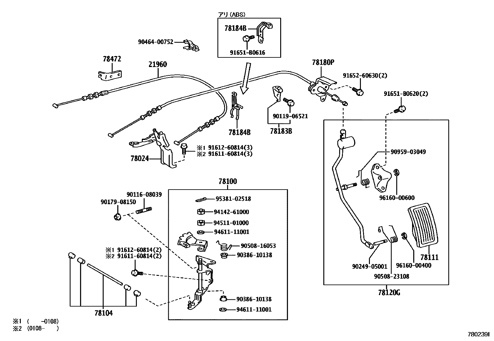 7801 — ACCELERATOR LINK