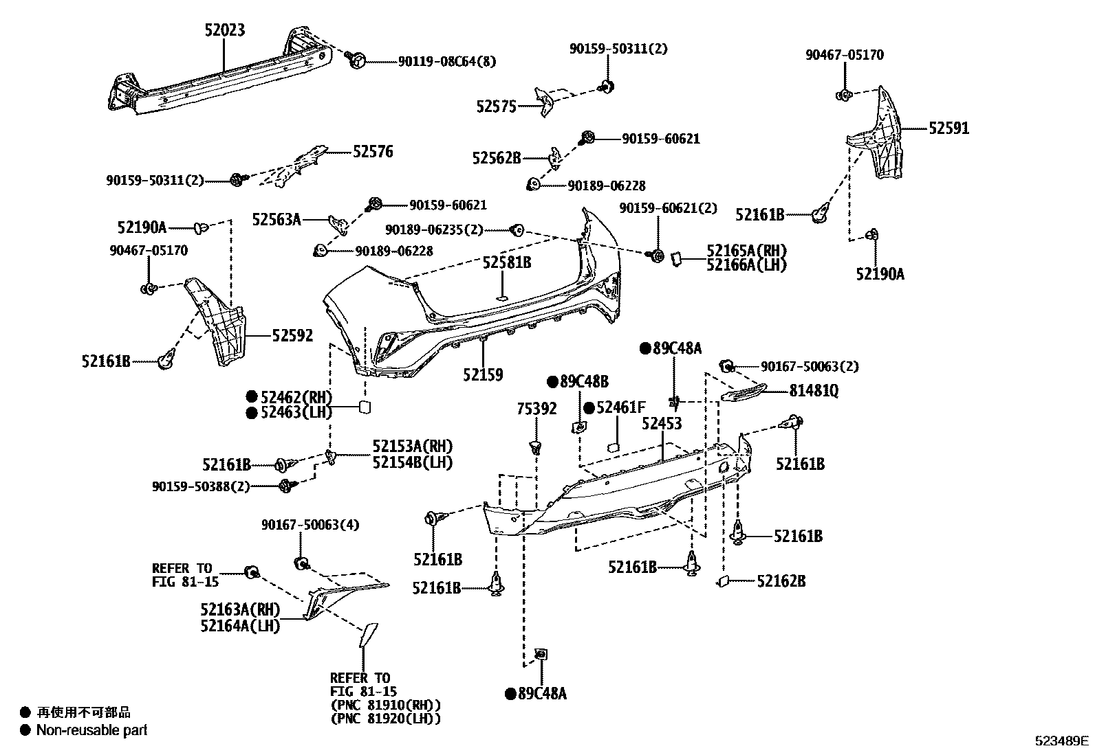 5202 — REAR BUMPER & BUMPER STAY