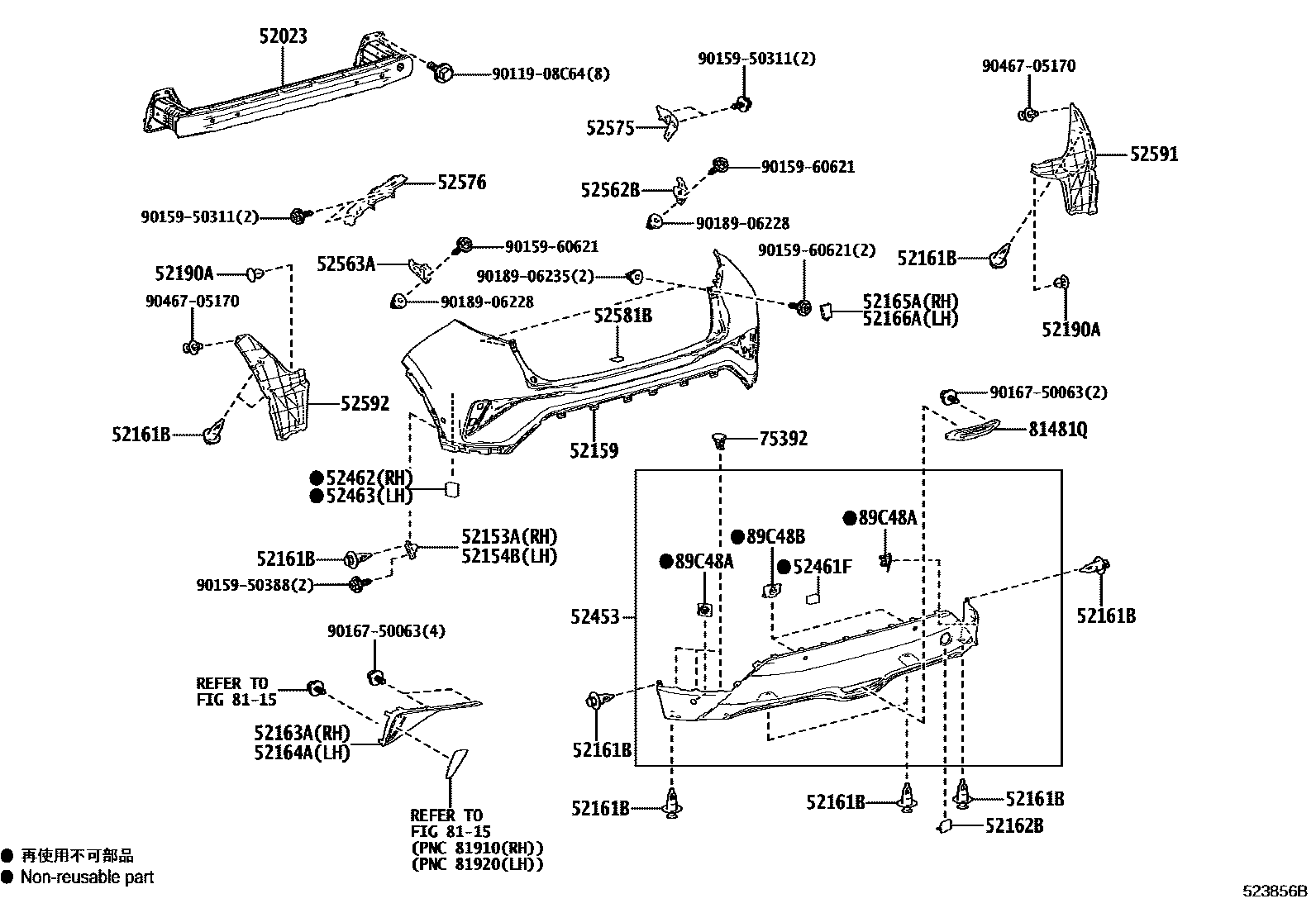 5202 — REAR BUMPER & BUMPER STAY