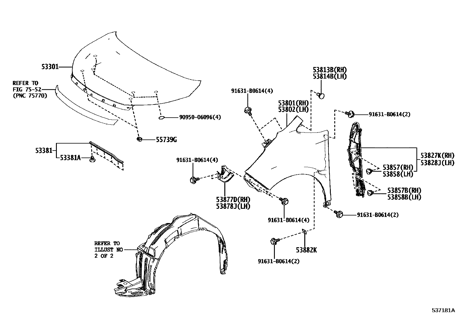 5353 — HOOD & FRONT FENDER