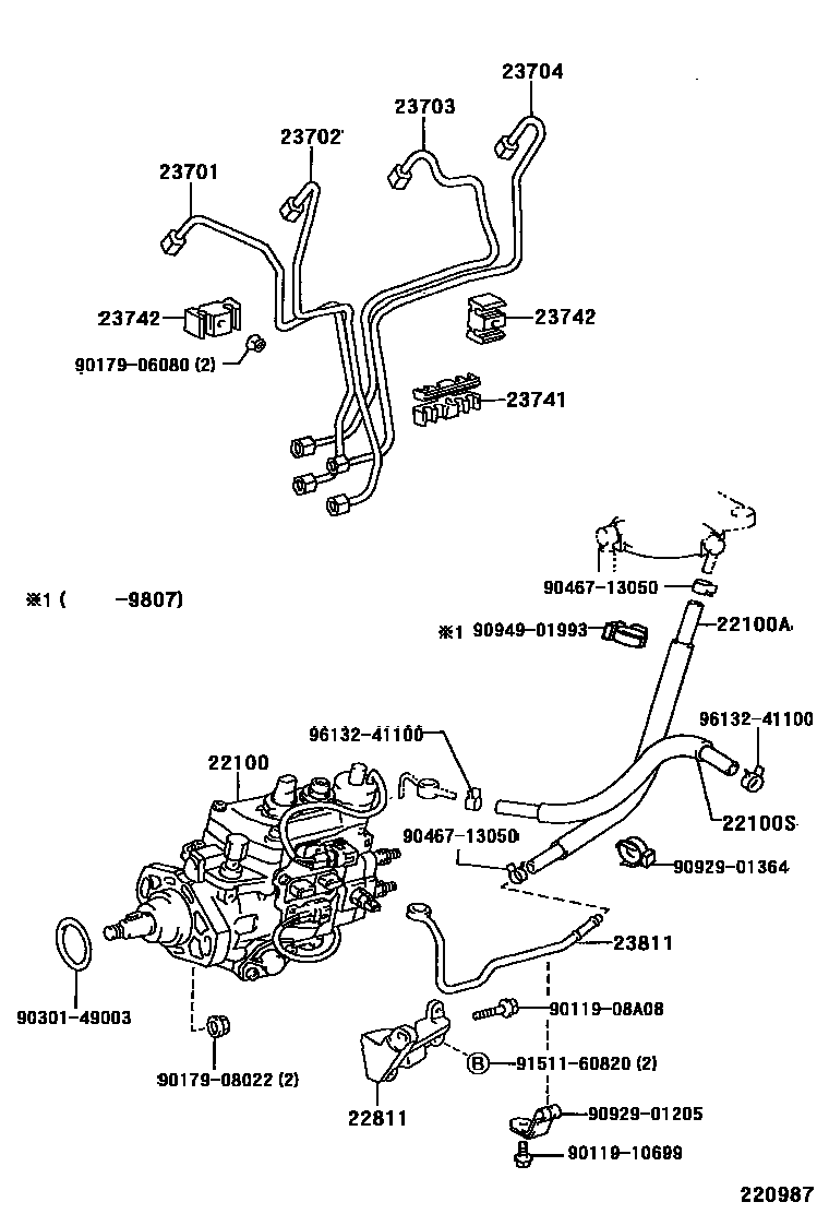 2202 — INJECTION PUMP ASSEMBLY