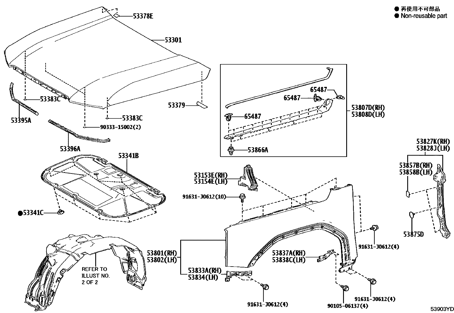 5353 — HOOD & FRONT FENDER
