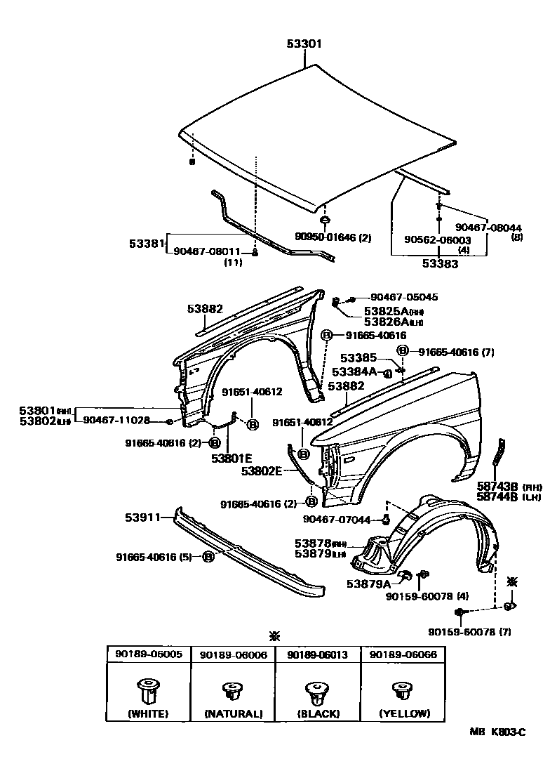 5302 — HOOD & FRONT FENDER