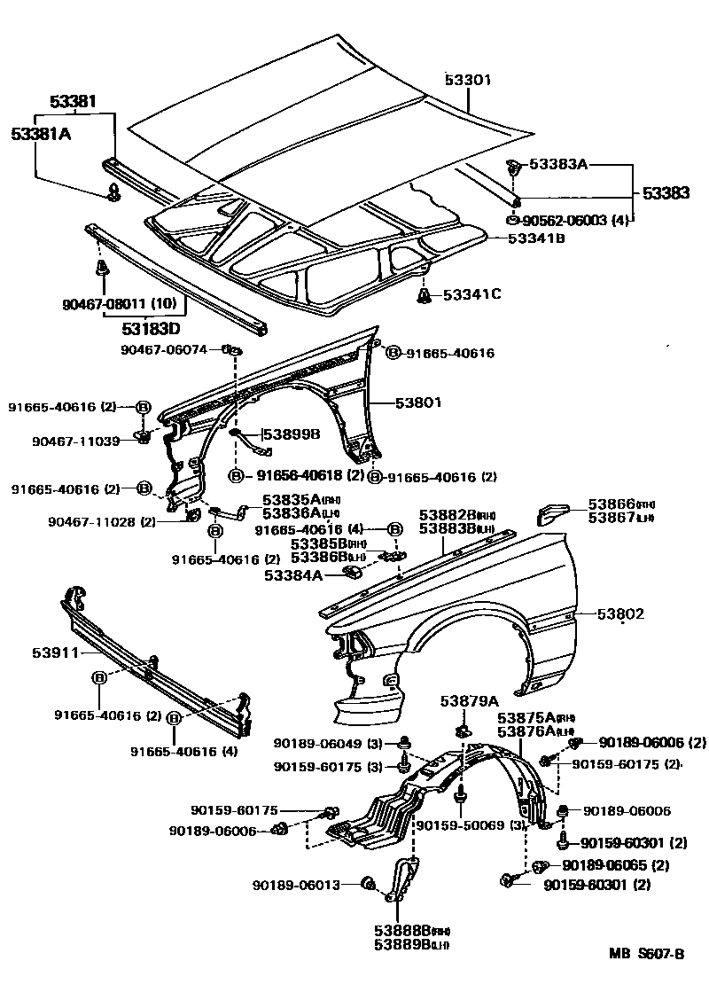 5302 — HOOD & FRONT FENDER