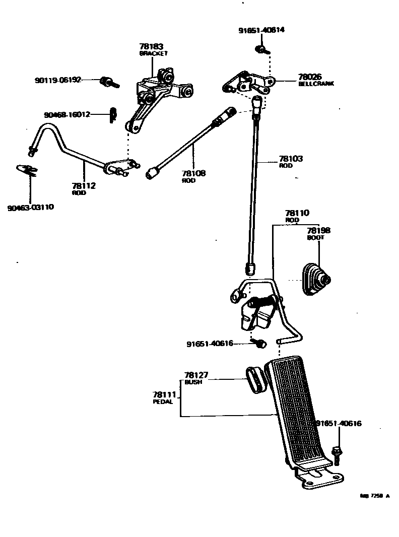 7801 — ACCELERATOR LINK