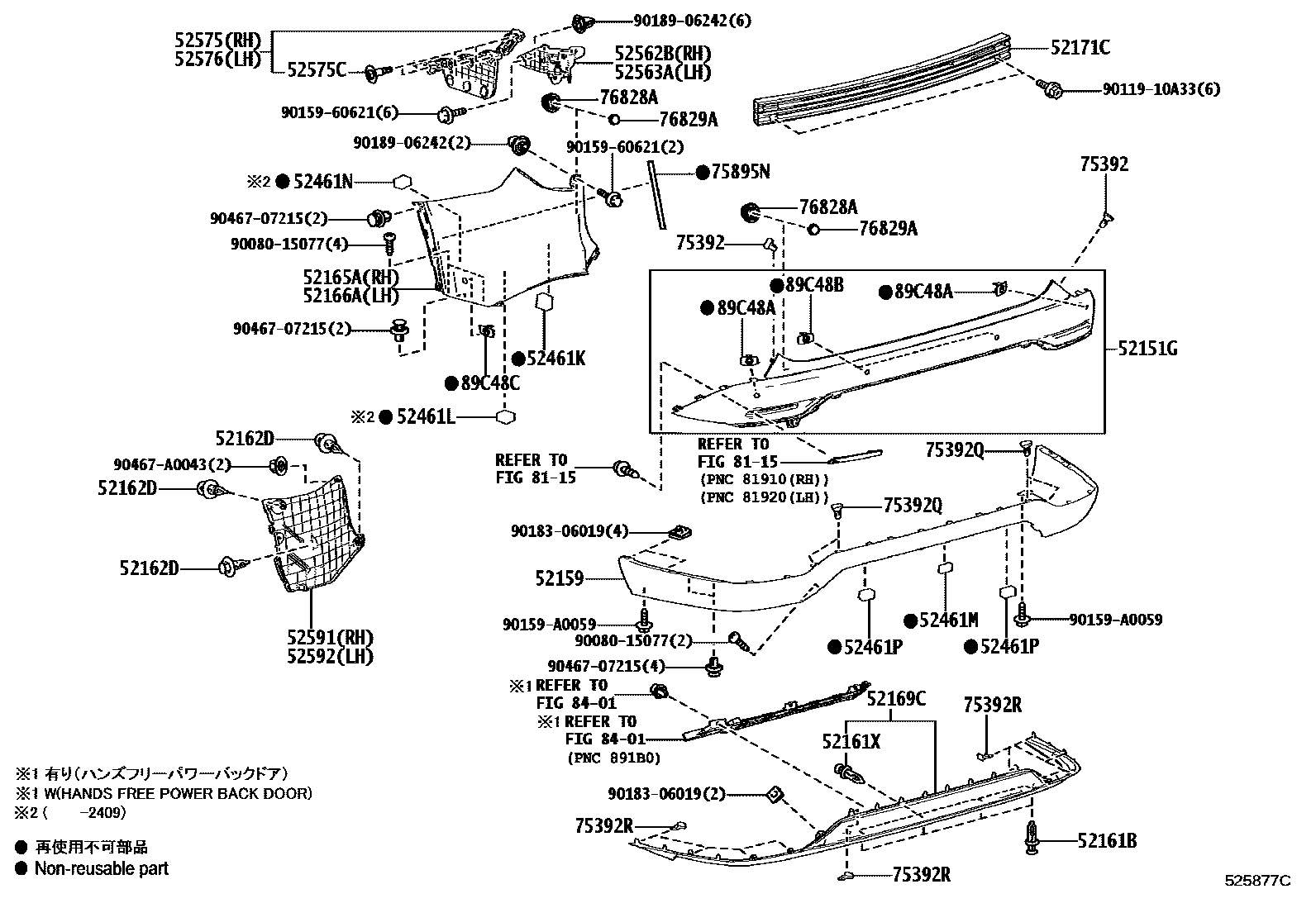 5202 — REAR BUMPER & BUMPER STAY