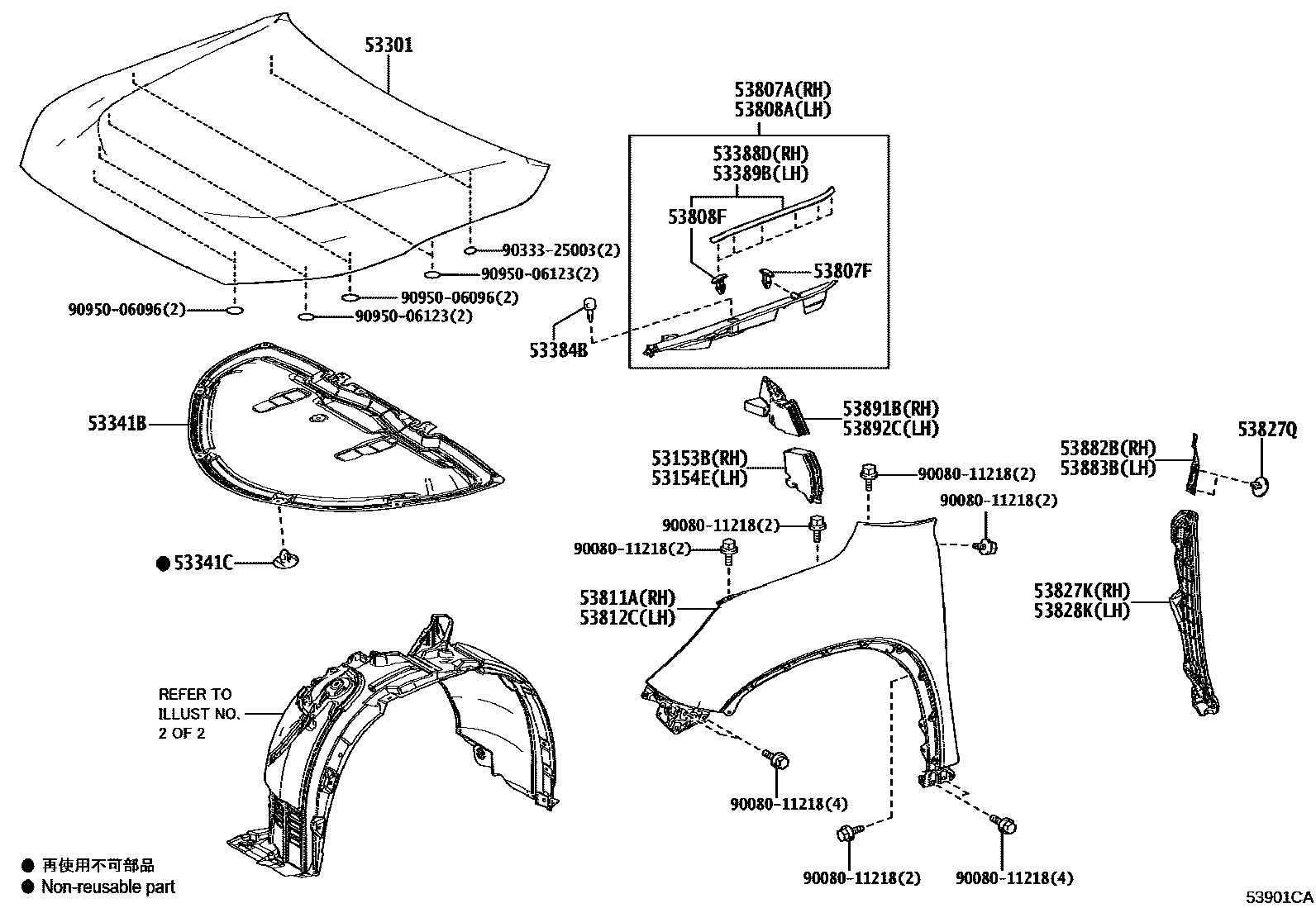 5302 — HOOD & FRONT FENDER