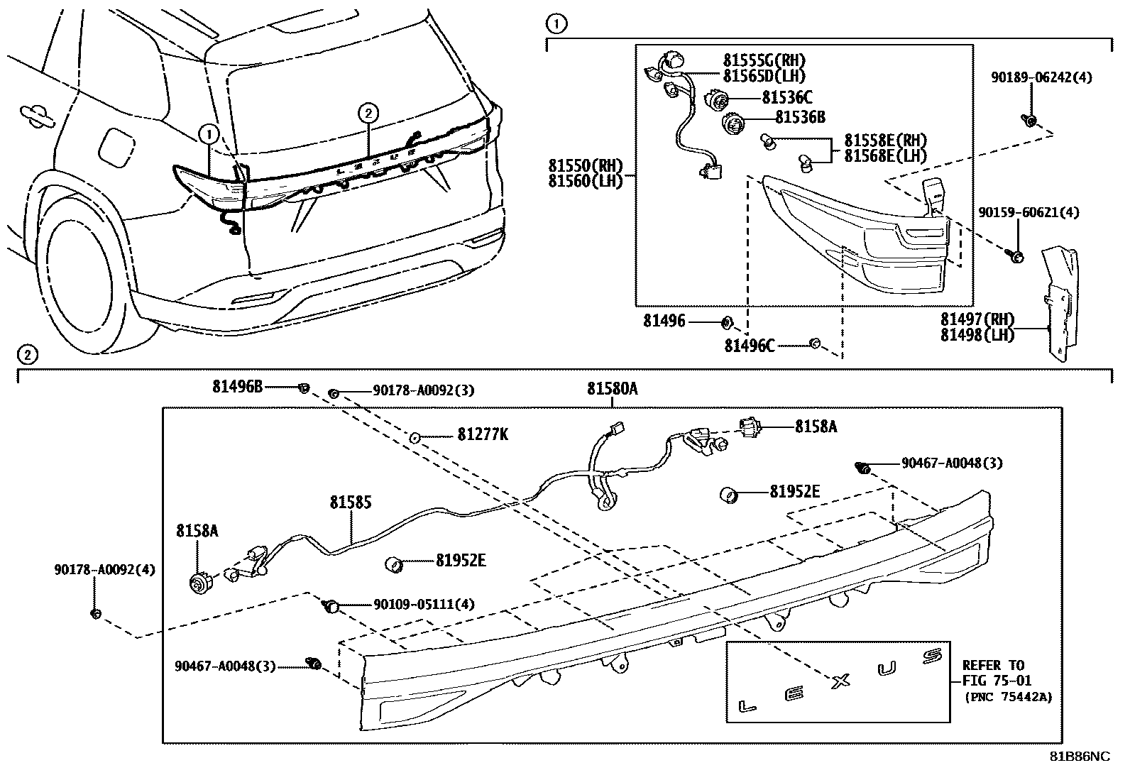 8111 — REAR COMBINATION LAMP