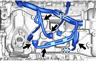 A443667