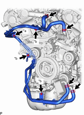 A443934C01
