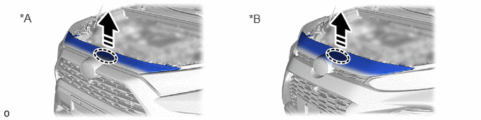 B569507C02