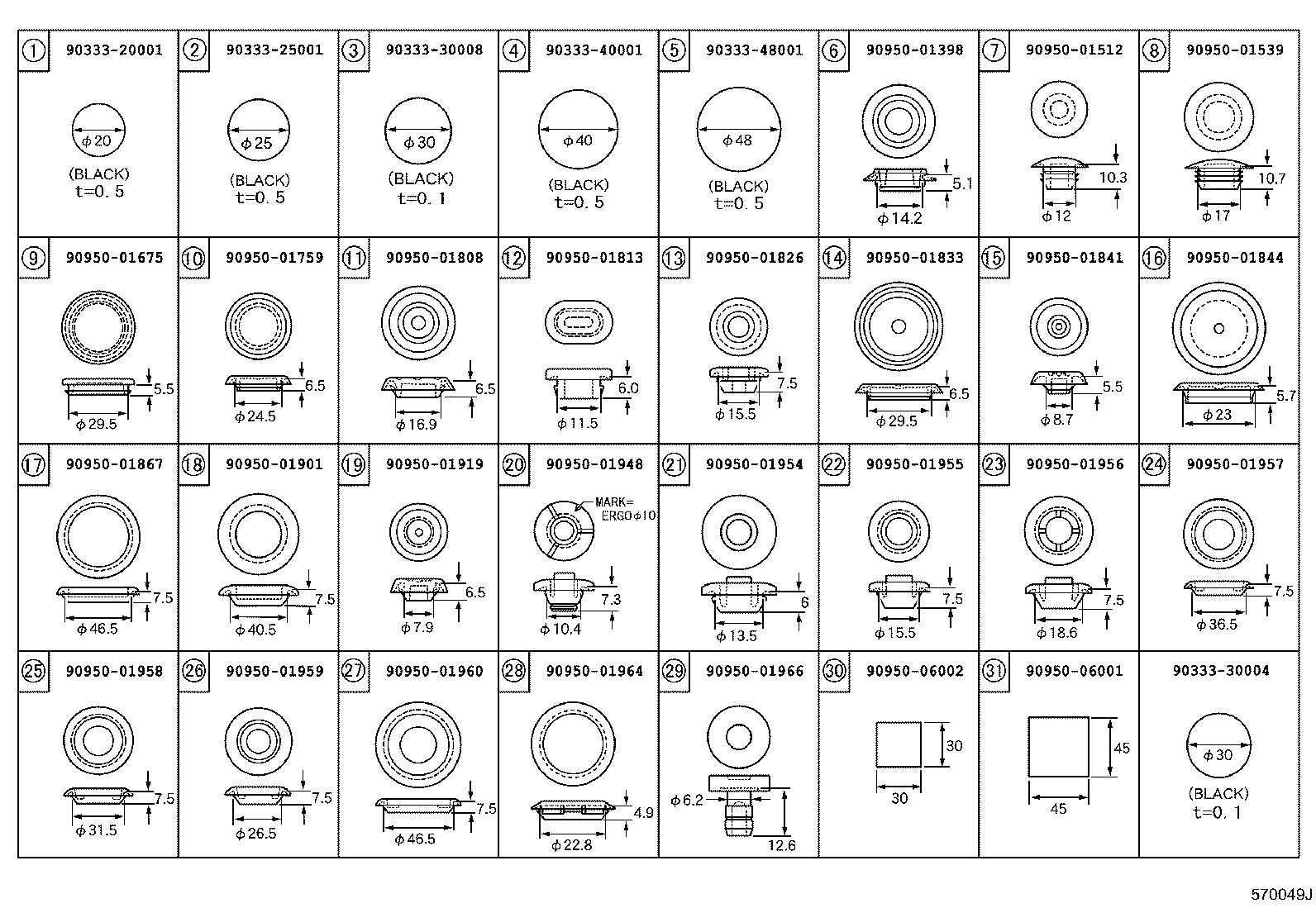 HOLE PLUG RX350
